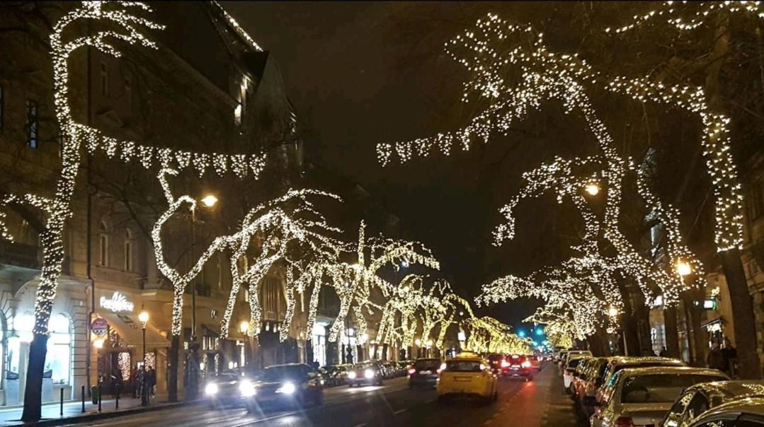 Like Studio City Centrum, Wifi, Terrace Budapeszt Zewnętrze zdjęcie